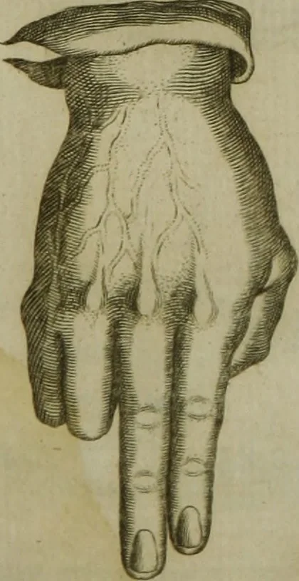An illustration from Reduction de las letras y arte para enseñar a [h]ablar los mudos, 1620, leaf 164