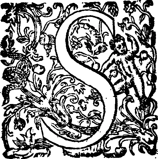 An illustration from Reduction de las letras y arte para enseñar a [h]ablar los mudos, 1620, leaf 20