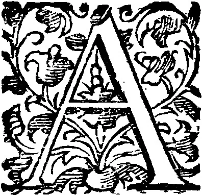 An illustration from Reduction de las letras y arte para enseñar a [h]ablar los mudos, 1620, leaf 30