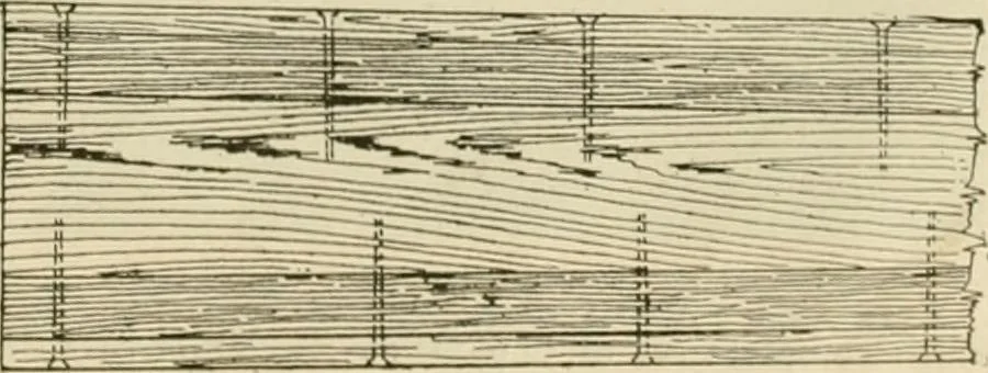 An illustration from Guaranteed building plans with interior views and details : a standard collection of new, original and artistic designs of cottages, bungalows, residences and flats of frame, brick, cement, plaster, concrete blocks, hollow tile, stucco, etc. and farm buildings of all descriptions together with interior and exterior details and interior views arranged and described by William A. Radford., 1915, leaf 162