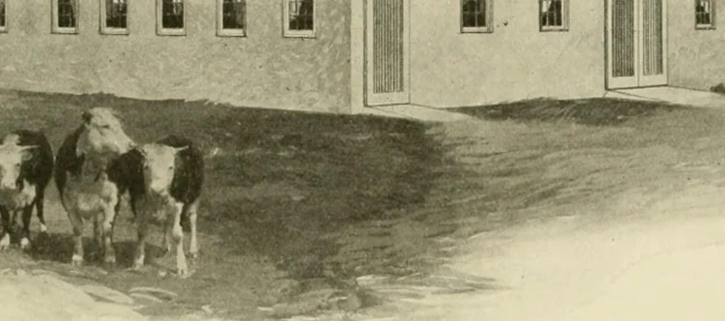 An illustration from Guaranteed building plans with interior views and details : a standard collection of new, original and artistic designs of cottages, bungalows, residences and flats of frame, brick, cement, plaster, concrete blocks, hollow tile, stucco, etc. and farm buildings of all descriptions together with interior and exterior details and interior views arranged and described by William A. Radford., 1915, leaf 208