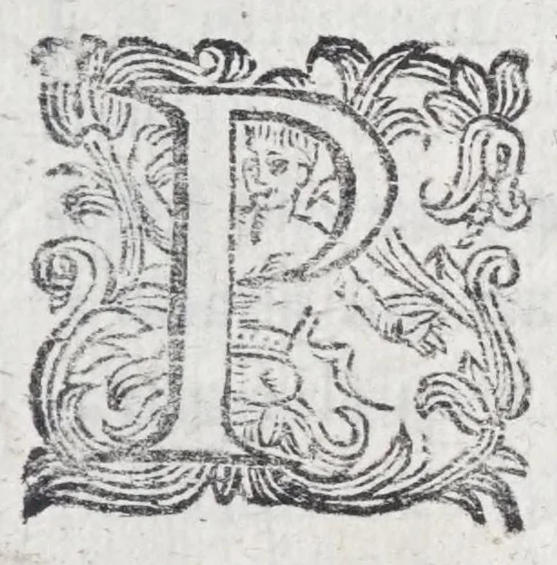 An illustration from Guerra di bellezza : festa a cavallo fatta in Firenze, per la venuta del serenissimo principe d'Vrbino, l'ottobre del 1616, 1616, leaf 29