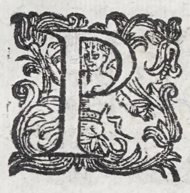 An illustration from Guerra di bellezza : festa a cavallo fatta in Firenze, per la venuta del serenissimo principe d'Vrbino, l'ottobre del 1616, 1616, leaf 7