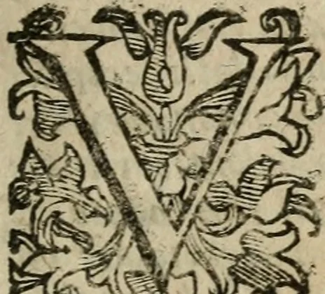 An illustration from Guida alla chimica : che suo mezzo conduce gl'affetionati alle operationi sopra ogni corpo misto animale, minerale, ò vegetabile : dichiarando come s'estraggono i toro sali, ogli, essenze, magisterij, mercurij, etc. ... et in quest' vltima impressione ampliata di nuoue aggiunte, & figure ... : et con la regola per metter le figure à suo loco posta nel fine, 1706, leaf 8