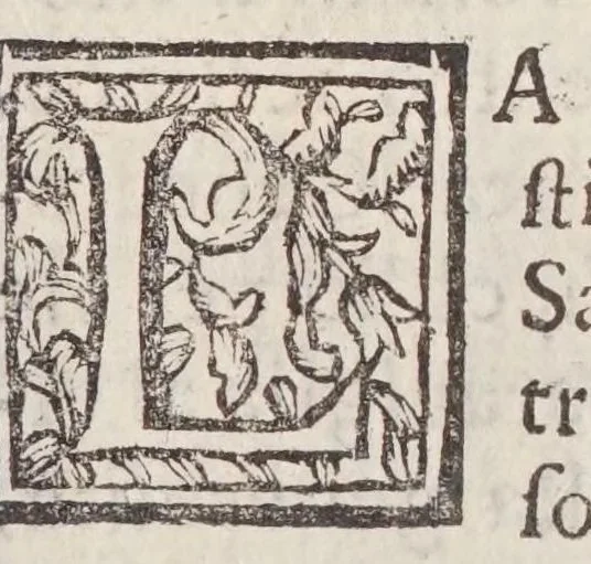An illustration from Guida de' forestieri, curiosi di vedere e d'intendere le cose più notabili della regal città di Napoli,, 1697, leaf 11