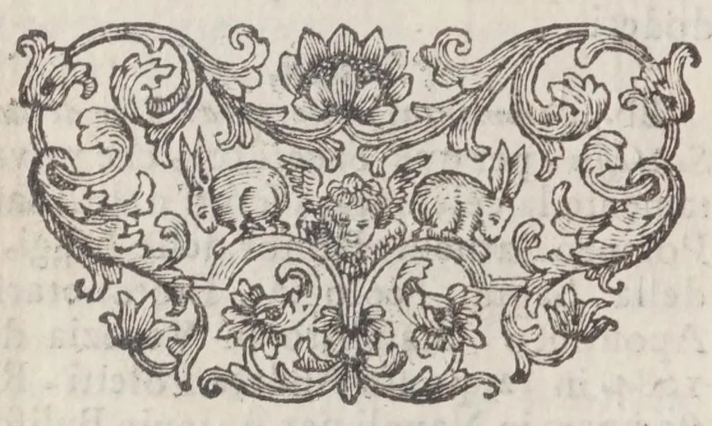 An illustration from Guida de' forestieri, curiosi di vedere e d'intendere le cose più notabili della regal città di Napoli,, 1697, leaf 28
