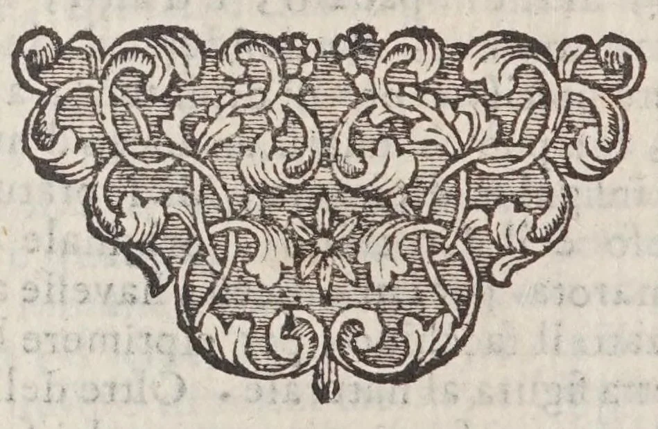 An illustration from Guida de' forestieri, curiosi di vedere e d'intendere le cose più notabili della regal città di Napoli,, 1697, leaf 442