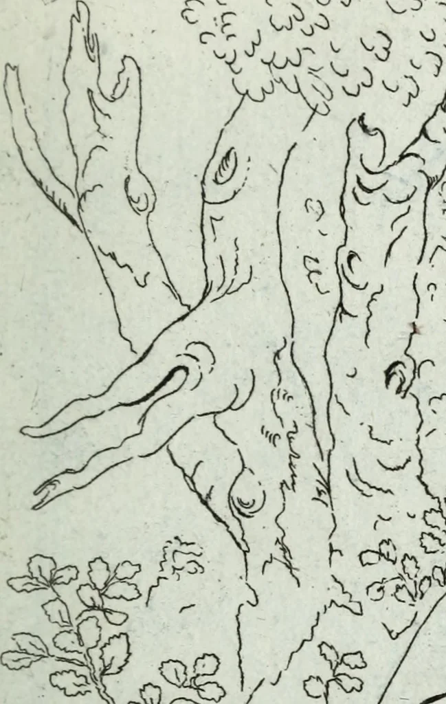 An illustration from Guida pittorica che contiene una raccolta de stampe delle più insicni pitture e dei sublimi disegni della città e ducato milanese, 1795, leaf 28