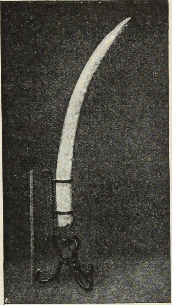 An illustration from Guida sommaria per il visitatore della Biblioteca Ambrosiana e delle collezioni annesse, 1907, leaf 112