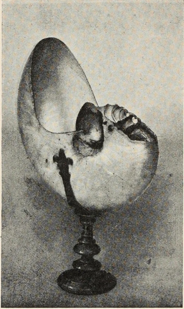 An illustration from Guida sommaria per il visitatore della Biblioteca Ambrosiana e delle collezioni annesse, 1907, leaf 113