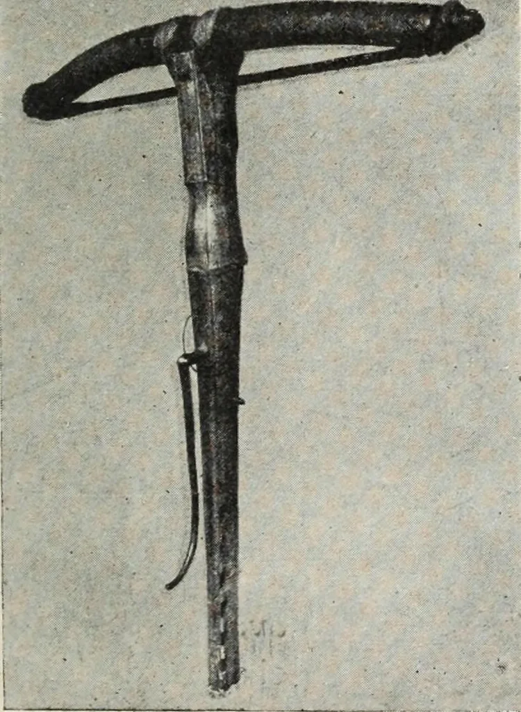 An illustration from Guida sommaria per il visitatore della Biblioteca Ambrosiana e delle collezioni annesse, 1907, leaf 114
