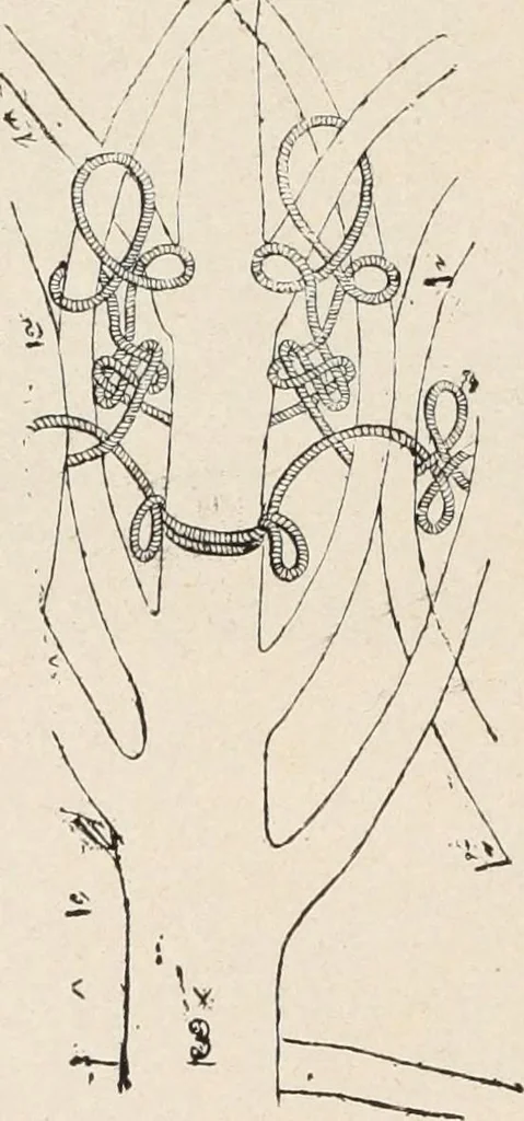 An illustration from Guida sommaria per il visitatore della Biblioteca Ambrosiana e delle collezioni annesse, 1907, leaf 131