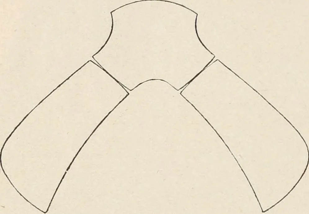 An illustration from Guida sommaria per il visitatore della Biblioteca Ambrosiana e delle collezioni annesse, 1907, leaf 43