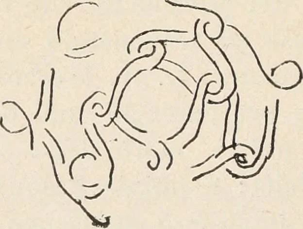 An illustration from Guida sommaria per il visitatore della Biblioteca Ambrosiana e delle collezioni annesse, 1907, leaf 51