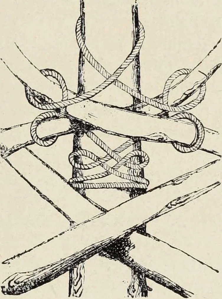 An illustration from Guida sommaria per il visitatore della Biblioteca Ambrosiana e delle collezioni annesse, 1907, leaf 58