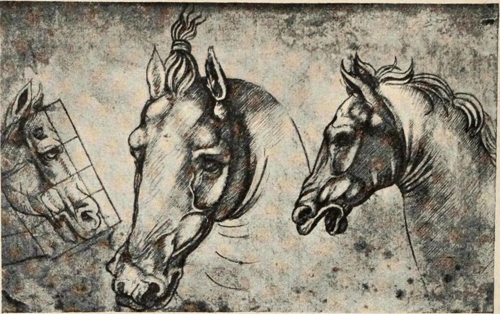An illustration from Guida sommaria per il visitatore della Biblioteca Ambrosiana e delle collezioni annesse, 1907, leaf 91