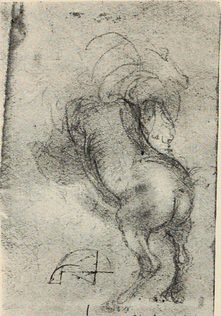 An illustration from Guida sommaria per il visitatore della Biblioteca Ambrosiana e delle collezioni annesse, 1907, leaf 97