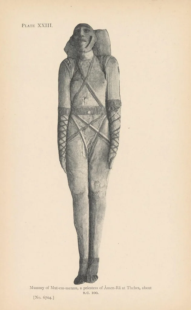 An illustration from A guide to the first and second Egyptian rooms : predynastic antiquities, mummies, mummy-cases, and other objects connected with the funeral rites of the ancient Egyptians, 1904, leaf 170