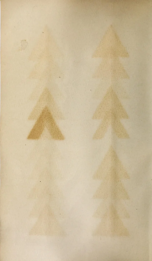 An illustration from The guide for piece-dyeing, 1889, leaf 16