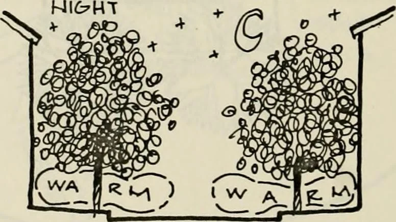An illustration from Guidelines for Barre Circle homestead area, Baltimore, 1900, leaf 103