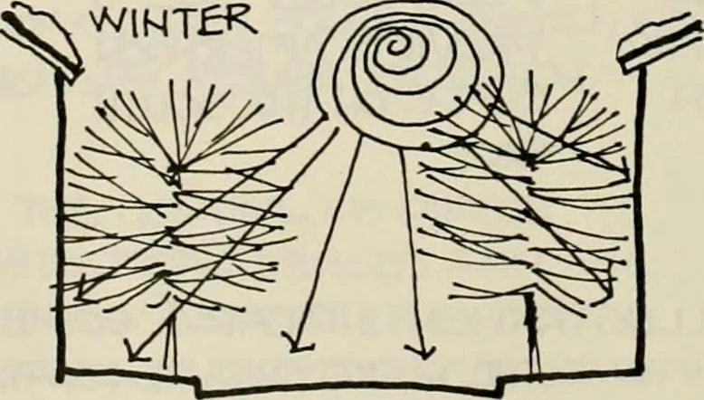 An illustration from Guidelines for Barre Circle homestead area, Baltimore, 1900, leaf 103