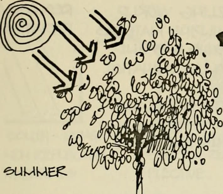 An illustration from Guidelines for Barre Circle homestead area, Baltimore, 1900, leaf 104