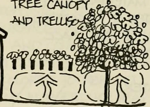 An illustration from Guidelines for Barre Circle homestead area, Baltimore, 1900, leaf 104