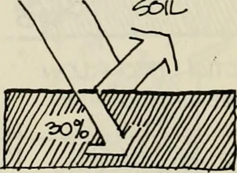 An illustration from Guidelines for Barre Circle homestead area, Baltimore, 1900, leaf 105