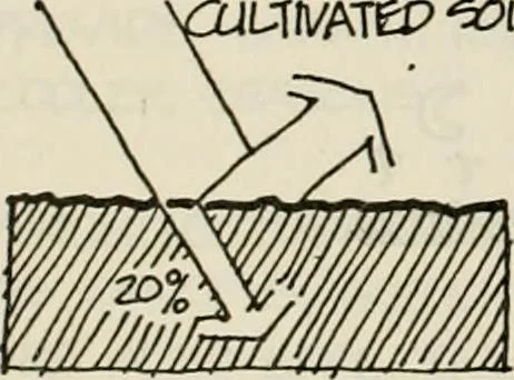 An illustration from Guidelines for Barre Circle homestead area, Baltimore, 1900, leaf 105