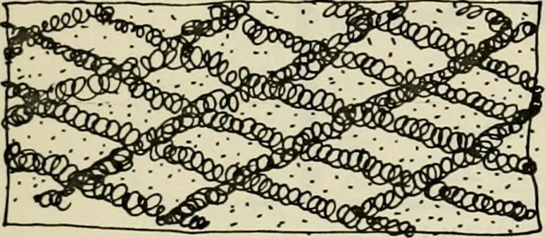 An illustration from Guidelines for Barre Circle homestead area, Baltimore, 1900, leaf 106