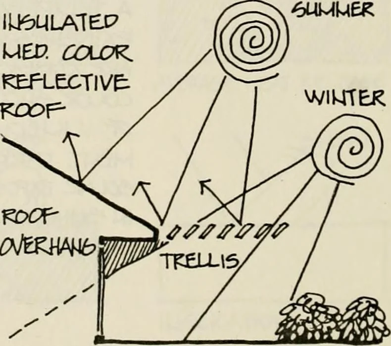 An illustration from Guidelines for Barre Circle homestead area, Baltimore, 1900, leaf 107