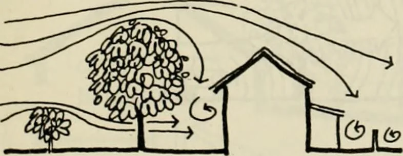 An illustration from Guidelines for Barre Circle homestead area, Baltimore, 1900, leaf 108
