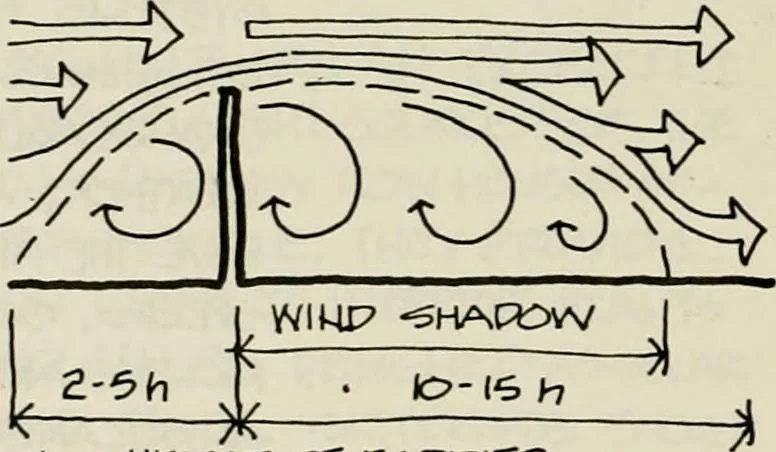 An illustration from Guidelines for Barre Circle homestead area, Baltimore, 1900, leaf 109