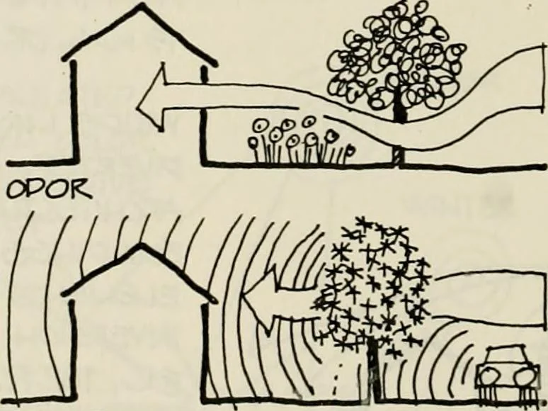 An illustration from Guidelines for Barre Circle homestead area, Baltimore, 1900, leaf 109