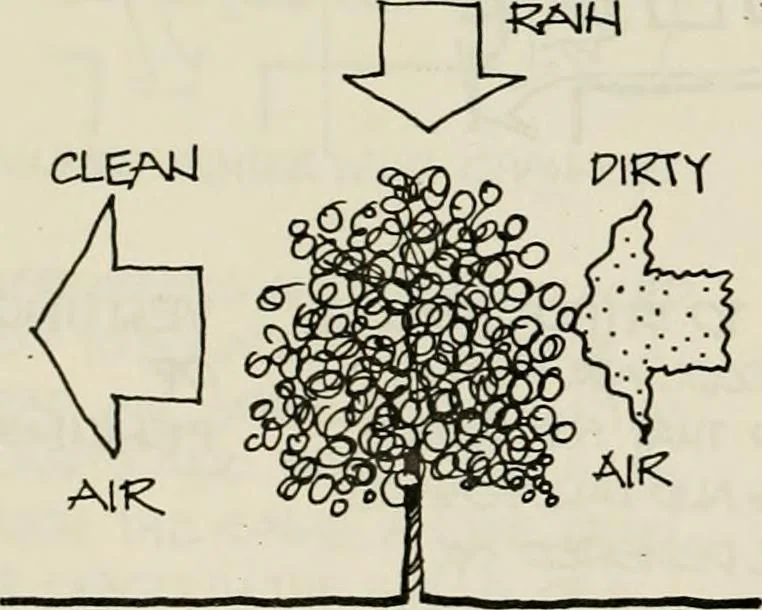 An illustration from Guidelines for Barre Circle homestead area, Baltimore, 1900, leaf 113