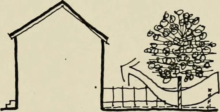 An illustration from Guidelines for Barre Circle homestead area, Baltimore, 1900, leaf 116