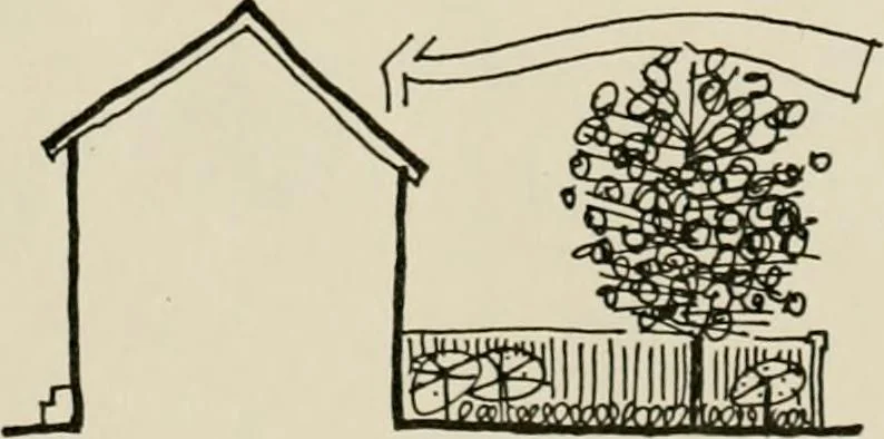 An illustration from Guidelines for Barre Circle homestead area, Baltimore, 1900, leaf 116