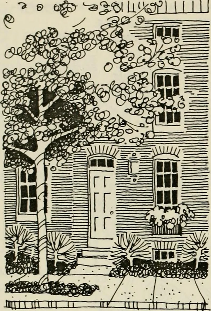 An illustration from Guidelines for Barre Circle homestead area, Baltimore, 1900, leaf 37