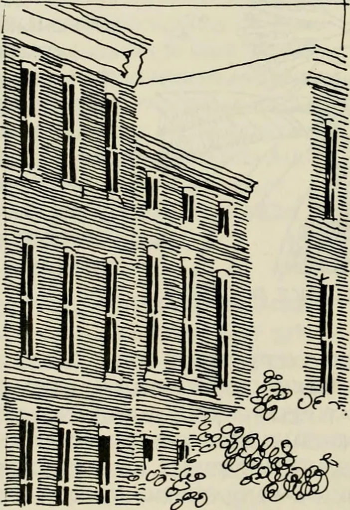 An illustration from Guidelines for Barre Circle homestead area, Baltimore, 1900, leaf 37