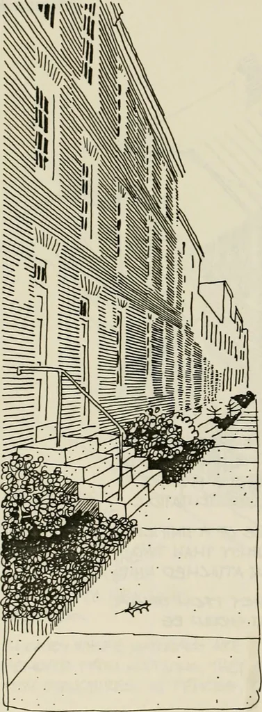 An illustration from Guidelines for Barre Circle homestead area, Baltimore, 1900, leaf 53