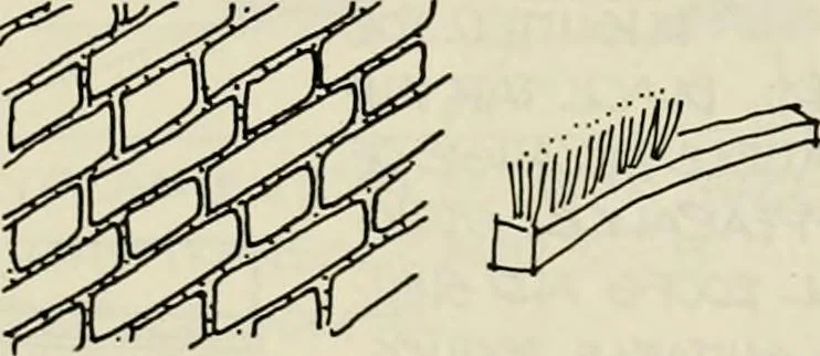 An illustration from Guidelines for Barre Circle homestead area, Baltimore, 1900, leaf 54