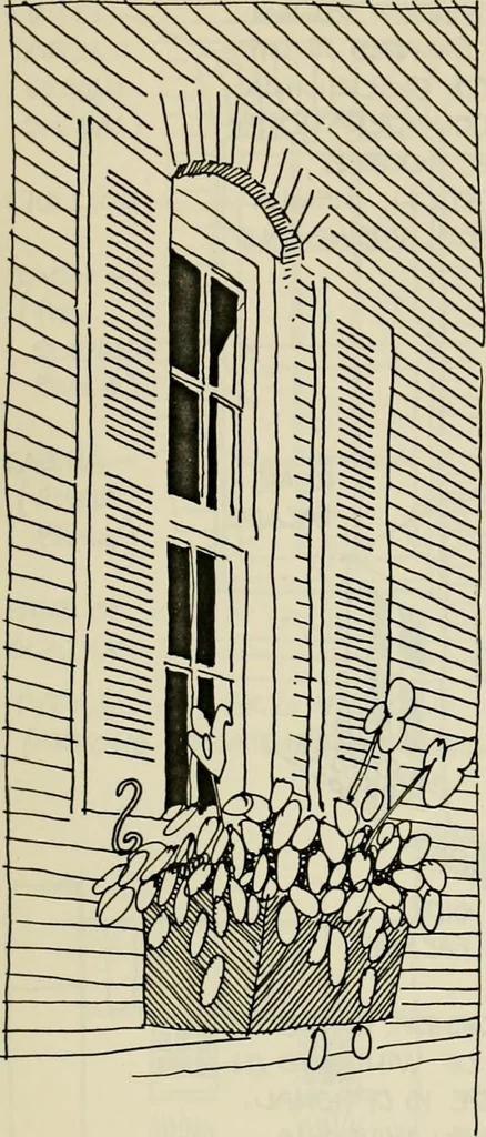 An illustration from Guidelines for Barre Circle homestead area, Baltimore, 1900, leaf 64