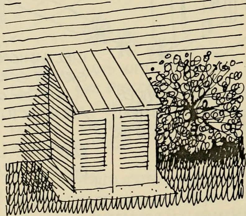 An illustration from Guidelines for Barre Circle homestead area, Baltimore, 1900, leaf 73