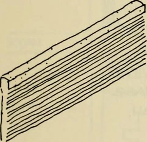 An illustration from Guidelines for Barre Circle homestead area, Baltimore, 1900, leaf 80