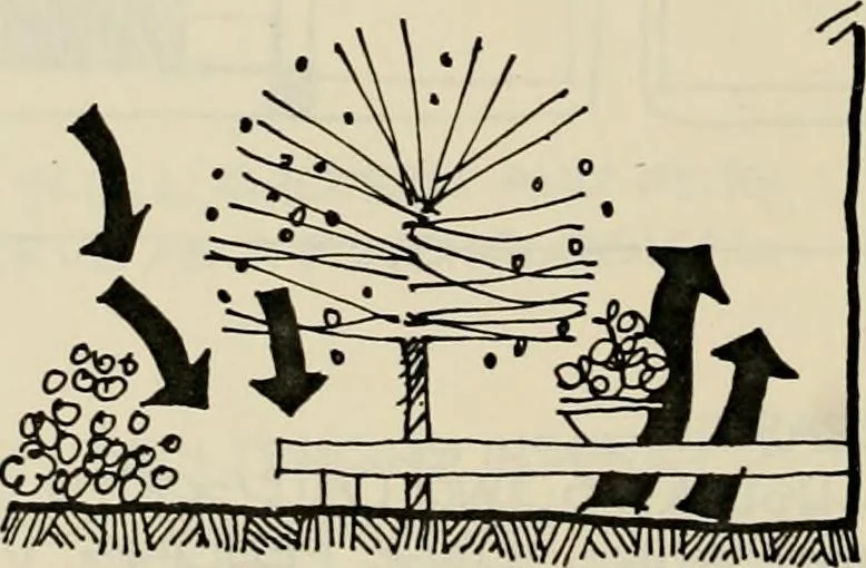 An illustration from Guidelines for Barre Circle homestead area, Baltimore, 1900, leaf 83