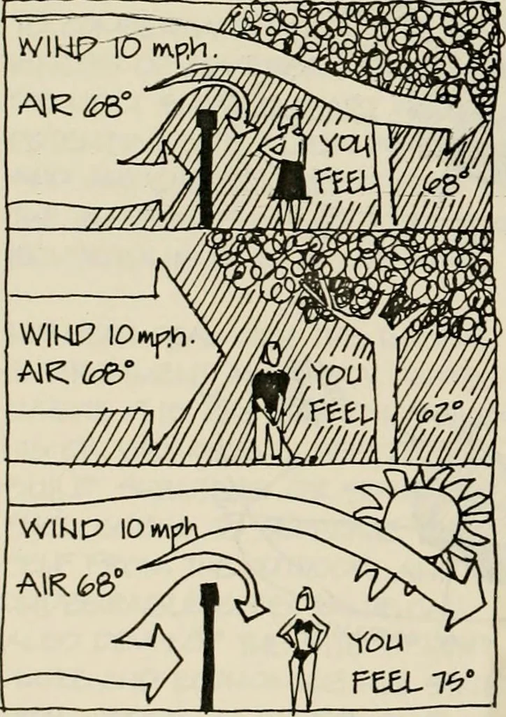 An illustration from Guidelines for Barre Circle homestead area, Baltimore, 1900, leaf 91
