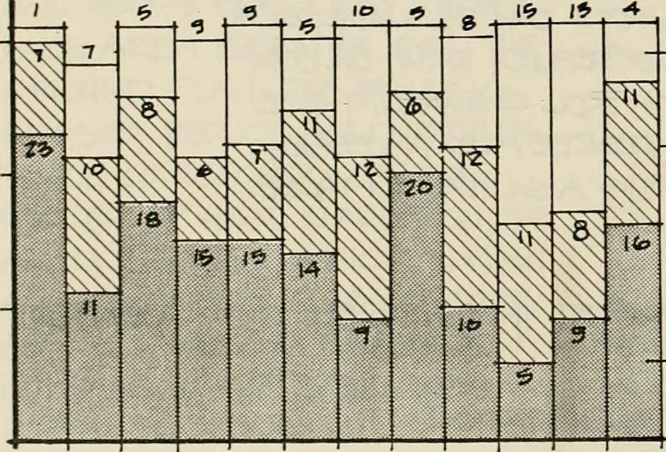 An illustration from Guidelines for Barre Circle homestead area, Baltimore, 1900, leaf 95