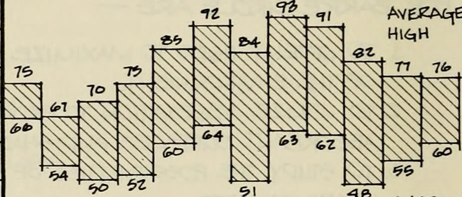 An illustration from Guidelines for Barre Circle homestead area, Baltimore, 1900, leaf 95