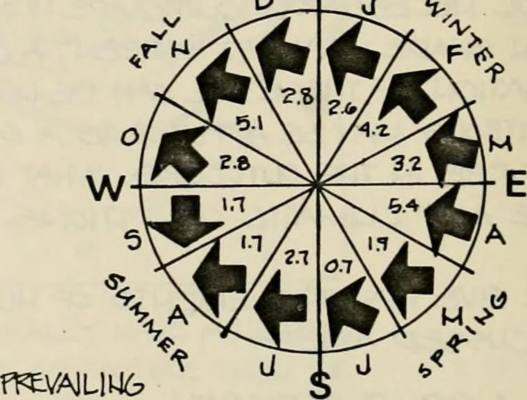 An illustration from Guidelines for Barre Circle homestead area, Baltimore, 1900, leaf 95
