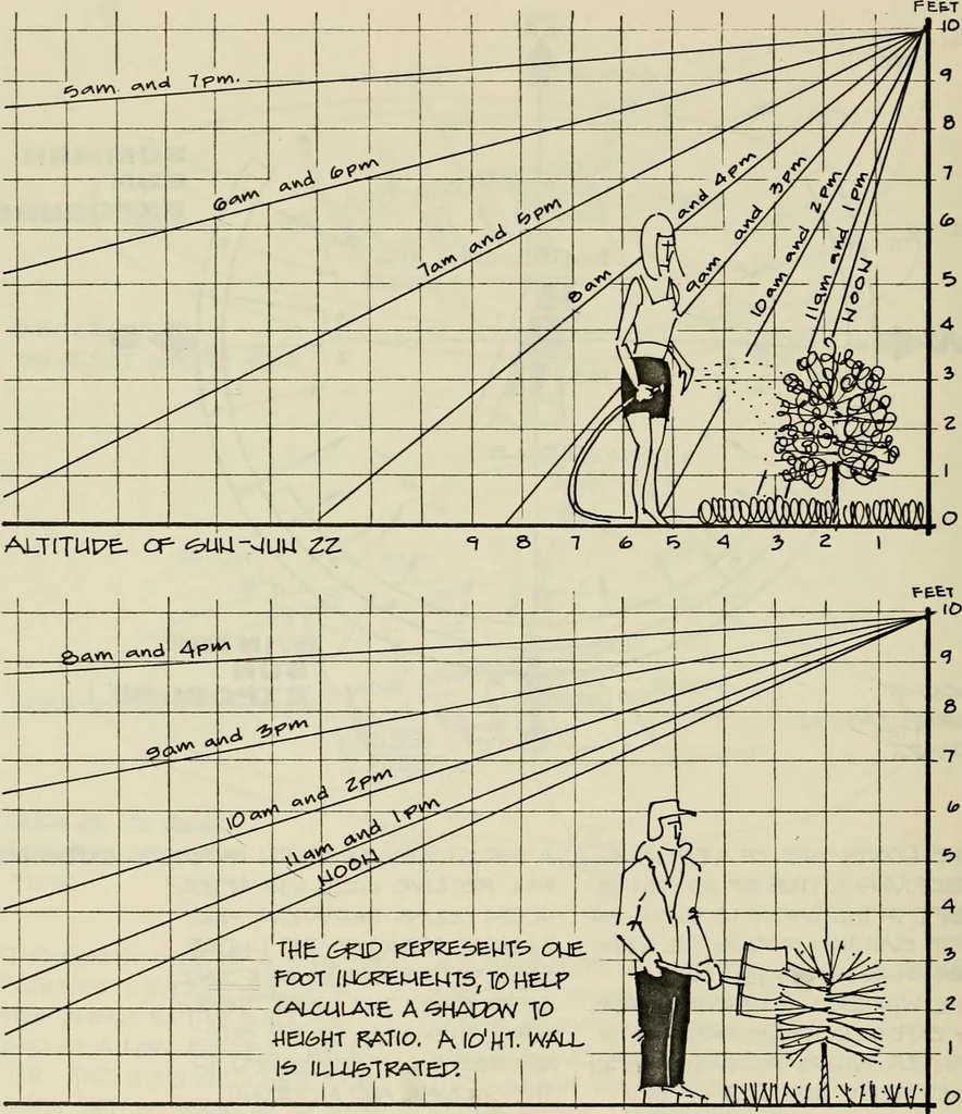 An illustration from Guidelines for Barre Circle homestead area, Baltimore, 1900, leaf 99